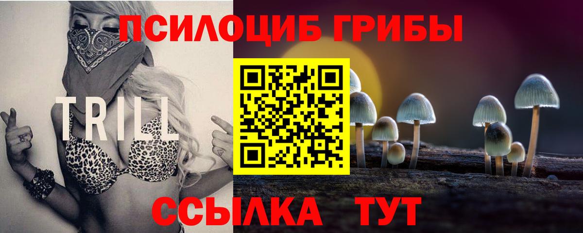 Ликино-Дулёво  Псилоцибиновые грибы Psilocybine cubensis  Вход с VPN 